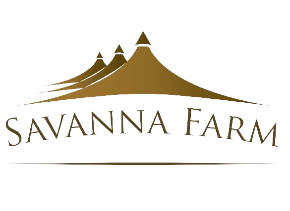 savanna bridal fair